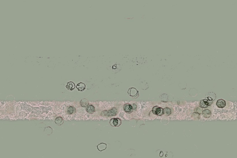 DSC03812-EDITED-COPY3