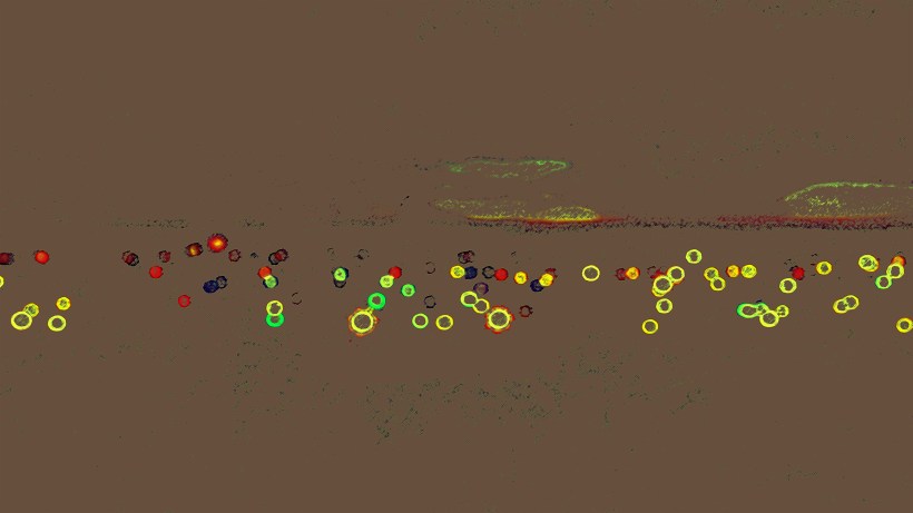 DSC08189-EDITED-COPY