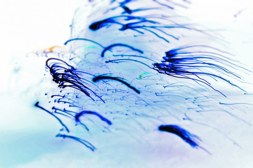 DSC09897-EDITED-COPY copy